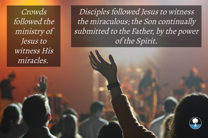 Crowds and Disciples.jpg